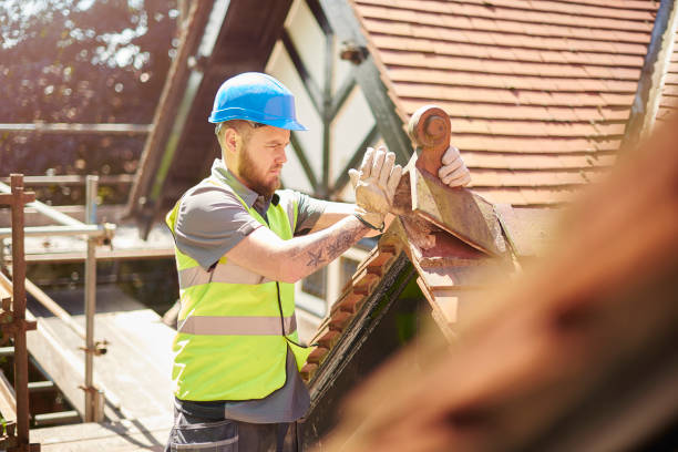 Best Roof Gutter Cleaning  in Orrville, OH